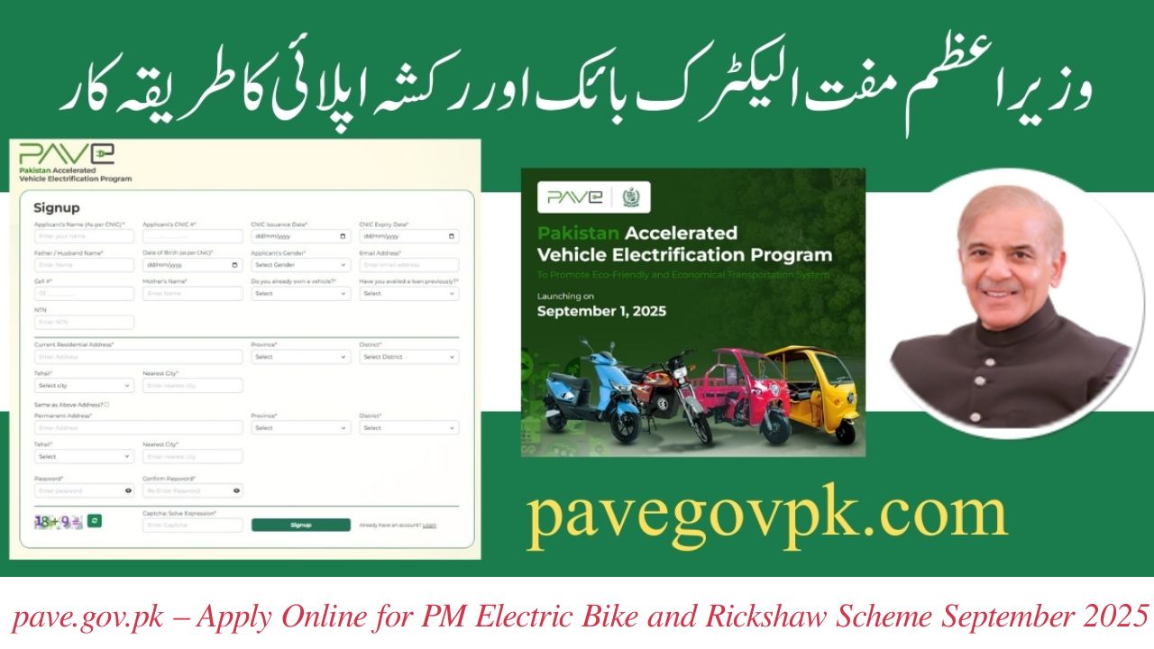 pave.gov.pk