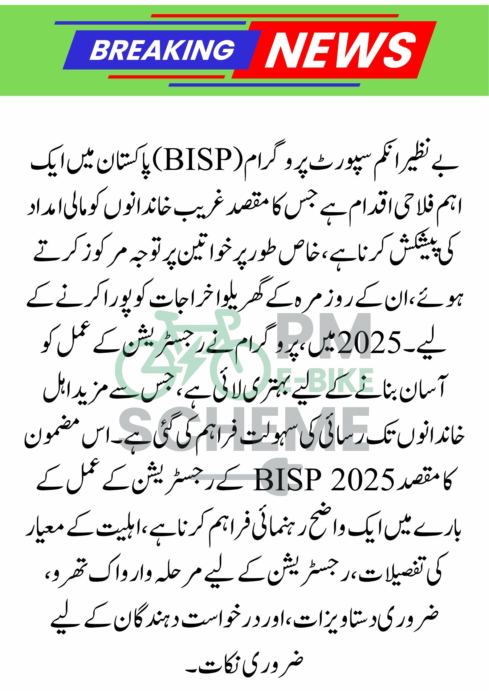 Easy and Simple Way of Registration in BISP 2025